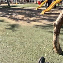 Gimnasio Chapultepec
