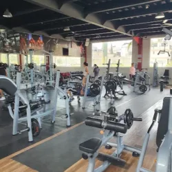 Fitlovers gym