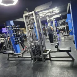Muscle Fitness GYM