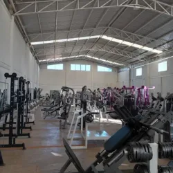 Muscle & Fitness Center