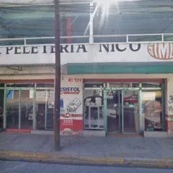 Cuna de Campeones