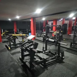 Lobos Gym