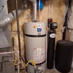 Bumble Bee Plumbing