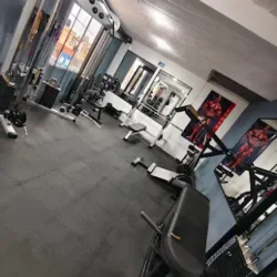 Lvdvs gym