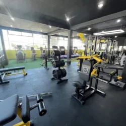 MUSCLE FACTORY GYM NR