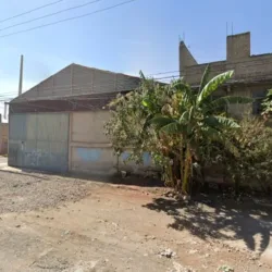 Noemi gym