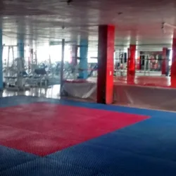 shaping house gym