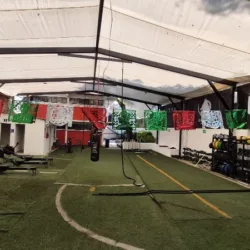 Black Wolf Training Club