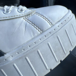 TintoTenis Lince