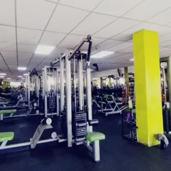 Forza Training Center