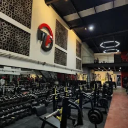 Mr.Fitness Gym