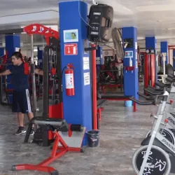 BODY Evolution GYM