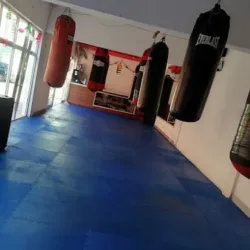 Box Training Dolores