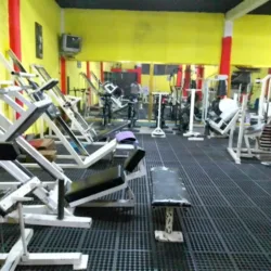 ANUBIS GYM
