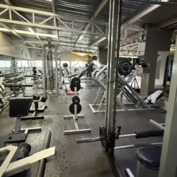 Gimnasio Playing Mantis Kung Fu