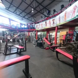 Body Factory Fitness Club