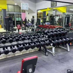 Golden Fitness