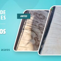 Lavado de Colchones y Salas | Todo Lavo