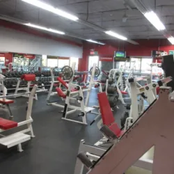 One Premium Gym
