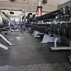 Evolution Gym