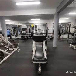 Stallions Gym