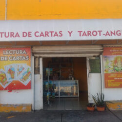 Lectura y Tarot de Cartas Angelical