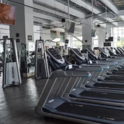 Fit Center MX