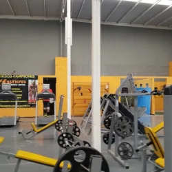 Olympus GYM