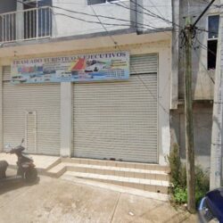 Shalom Acupotomologia y acupuntura