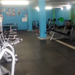 Master Gym