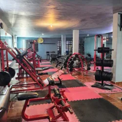 Gym BM