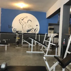 Evolution Gym