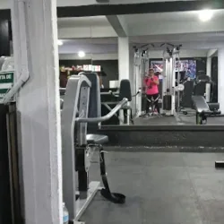Alpha Gym