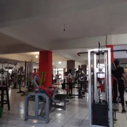 MUSCLE HOUSE