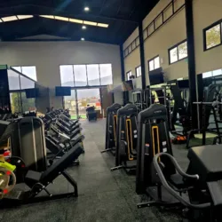 MR. GYM
