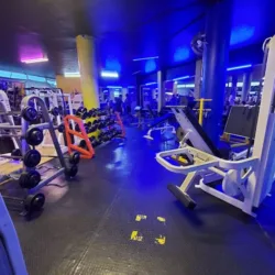 B Fitness Gym