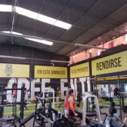 Random Fitness