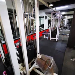 Muscle House