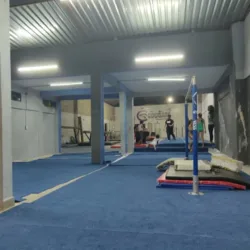 Cougars Gymnastics & Parkour Center