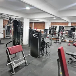 Agar Gym