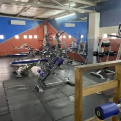RS31 FITNESS