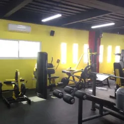 Euphoria Fitness