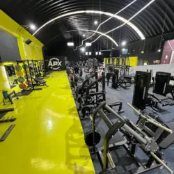 Gimnasio APPEX