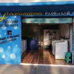 "Flor de Lis"