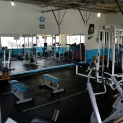 GYM FITNESS PEOPLE
