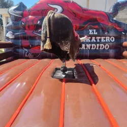 Renta de toro mecánico, inflables y brincolines