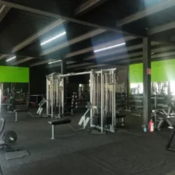 Trainer Kings Gym