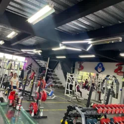 Ultra Fitness Gym El Jacal