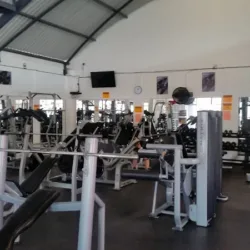 Strong Body Evolution
