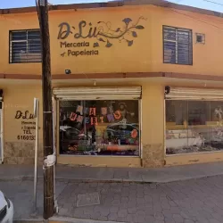 papeleria D`LU
